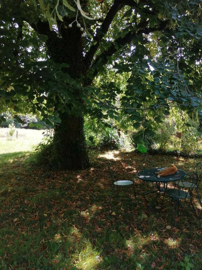 הוילה Coursac En Plein Air מראה חיצוני תמונה